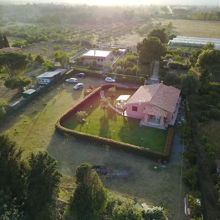 Il Melograno Di Nora Bed and Breakfast Pula Buitenkant foto