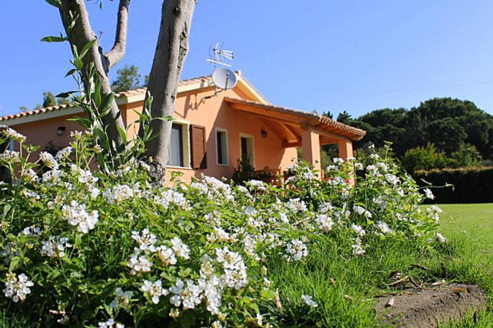 Il Melograno Di Nora Bed and Breakfast Pula Buitenkant foto