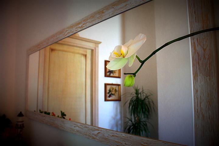 Il Melograno Di Nora Bed and Breakfast Pula Buitenkant foto